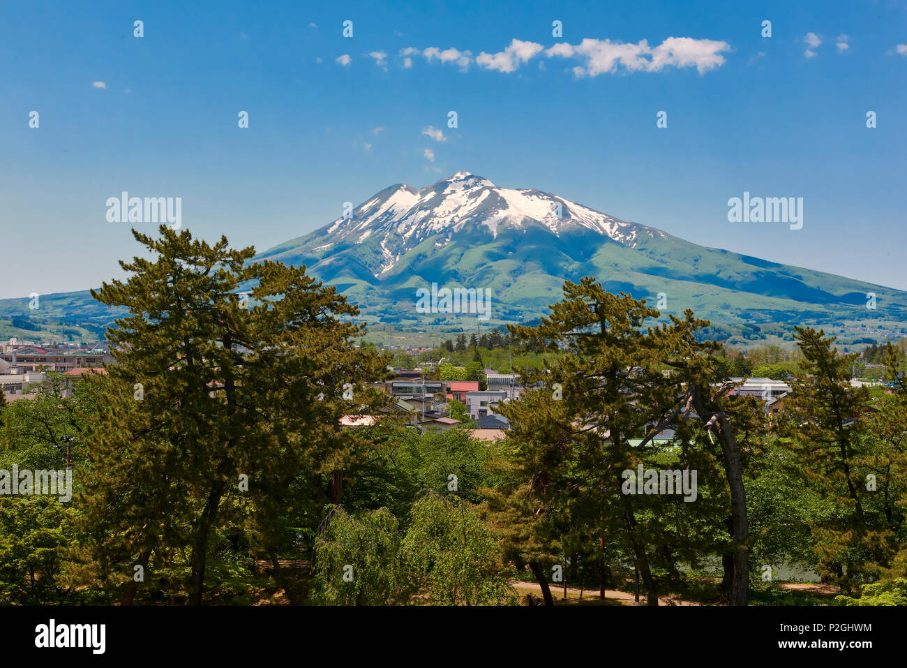 Mount Iwaki auf einem blauen Himmel Tag mit Hirosaki Park Bäume im Vordergrund. In Hirosaki, Präfektur Aomori, Japan. Stockfoto