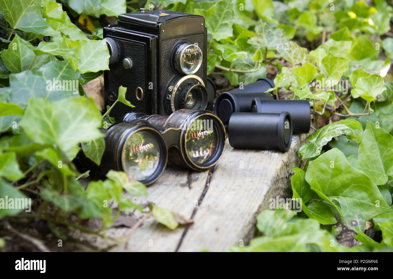 Retro Kamera und Fernglas und fotografische Filme in einem Garten mit Efeu. Stockfoto