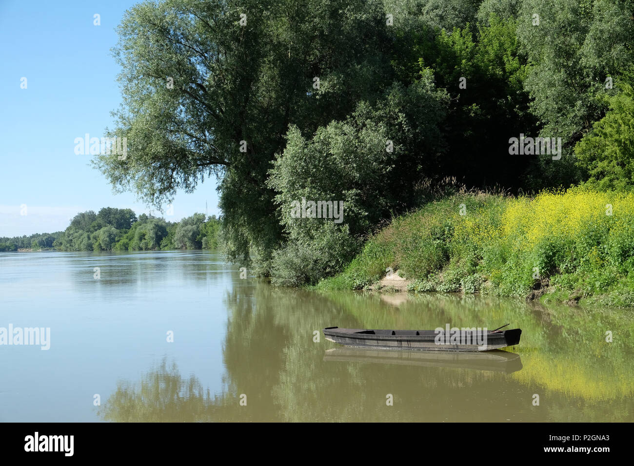 Der Fluss Sava ist einer der sehr wenigen unverändert Tieflandflüssen in Europa, Lonjsko Polje in Kroatien Stockfoto