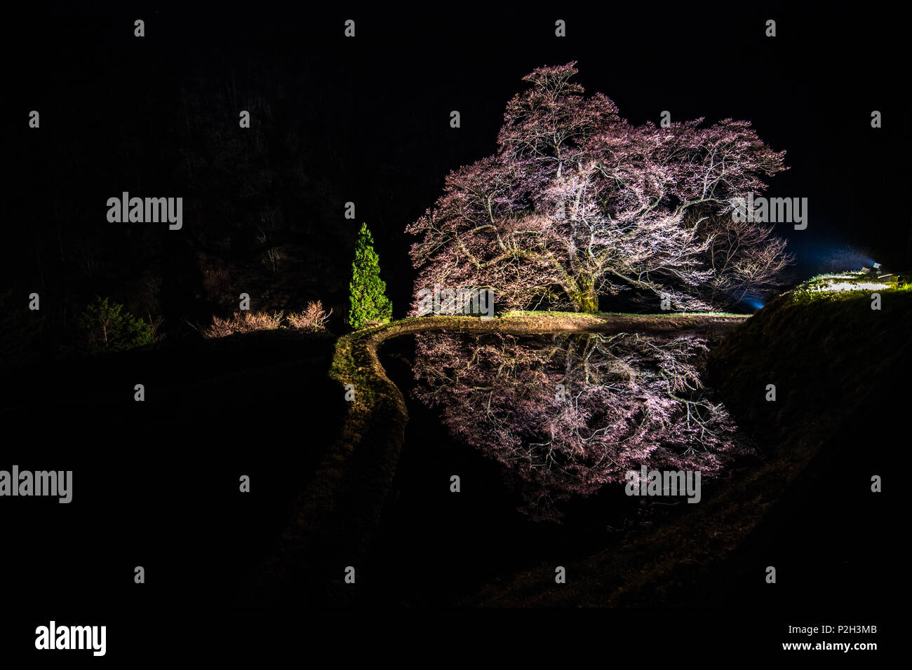 Reflexion im Wasser Zum ersten Mal in 6 Jahren Stockfoto