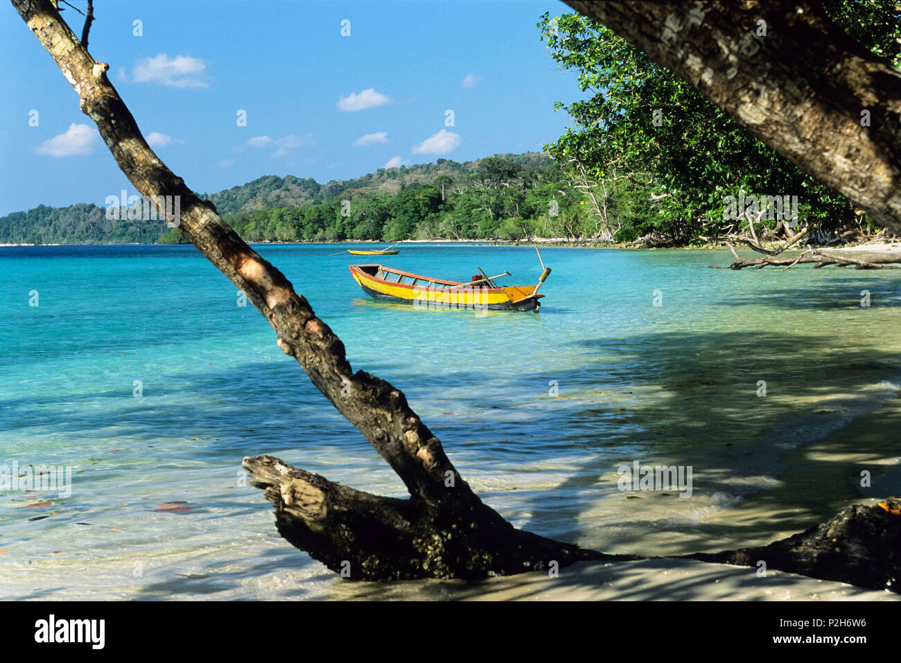 Regenwald und Strand, Elefant Strand mit Booten, Havelock Island, Andaman Inseln, Indien Stockfoto