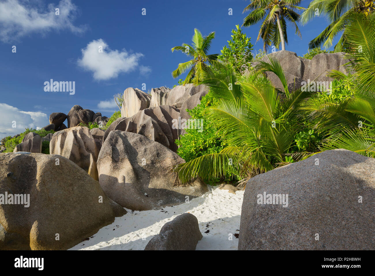 Granitfelsen im Anse Source D'Argent, La Digue Island, Seychellen Stockfoto