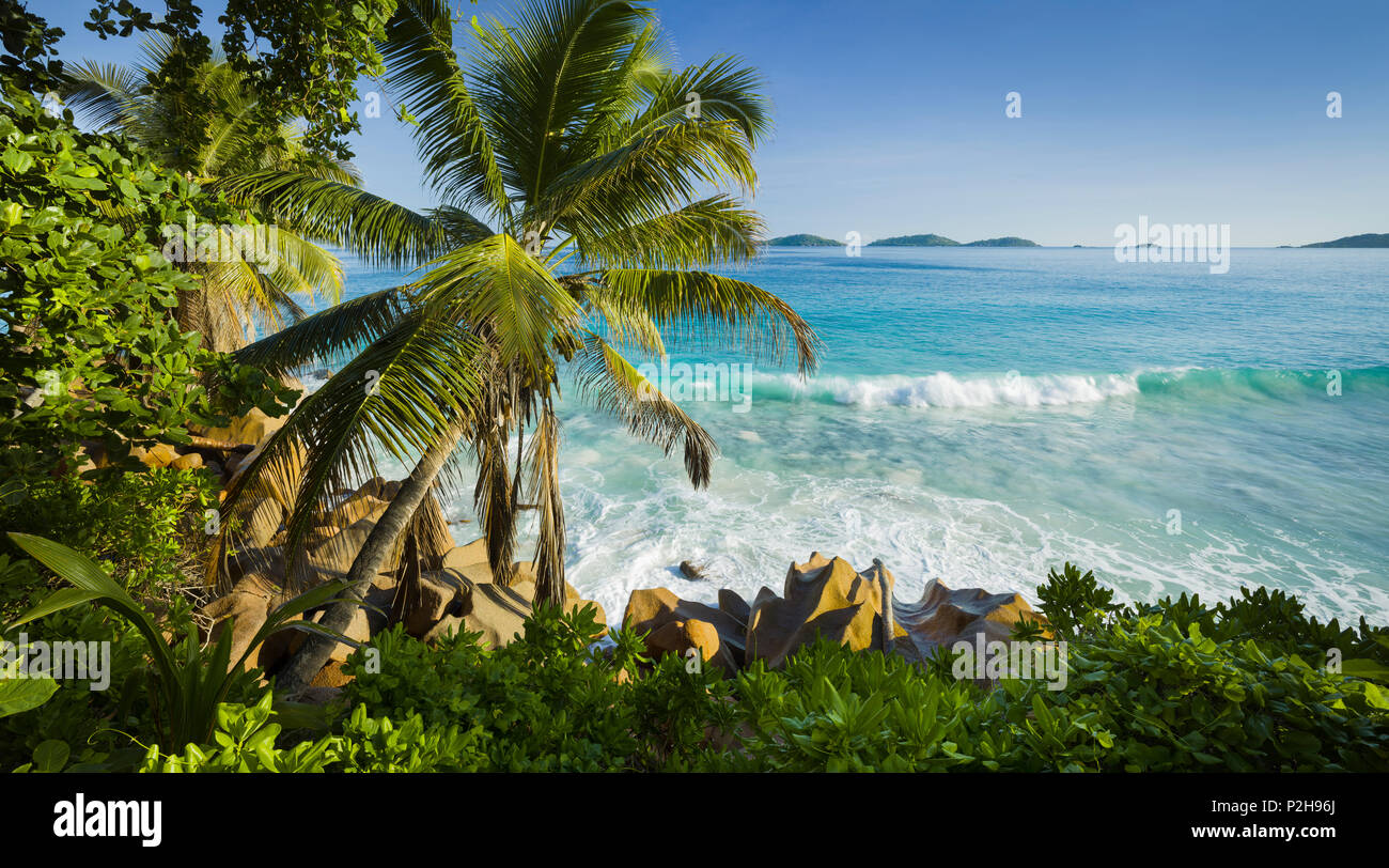 Felsige Küstenlinie, Anse Patates La Digue Island, Seychellen Stockfoto