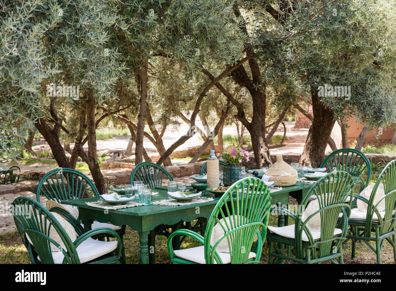 Des grünen Tisch und Stühle im Garten mit Olivenhain Stockfoto