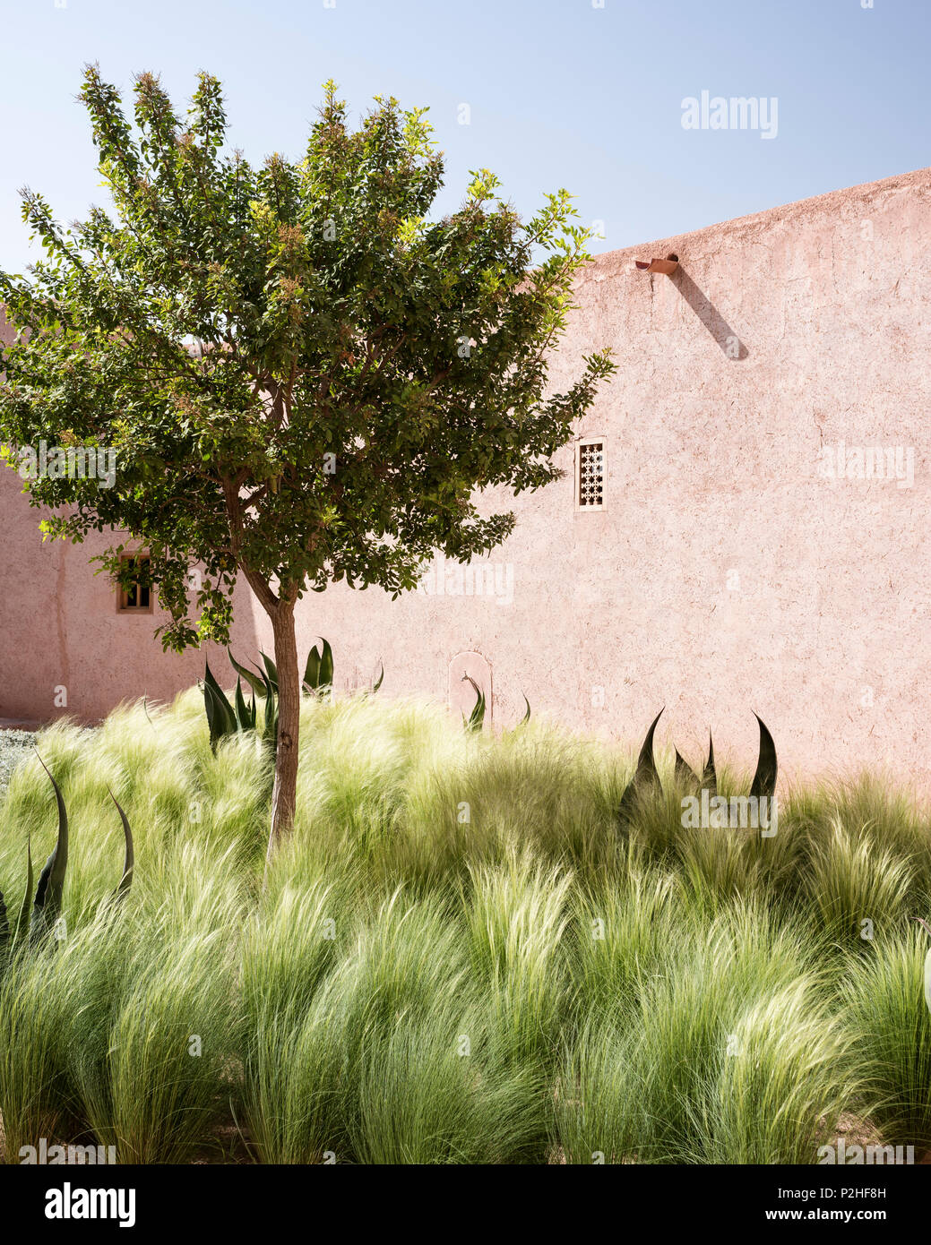 Die Außenfassade des Adobe Berber-stil Lodges mit Innenhof von Lemon Tree, Gräser und Kakteen Stockfoto