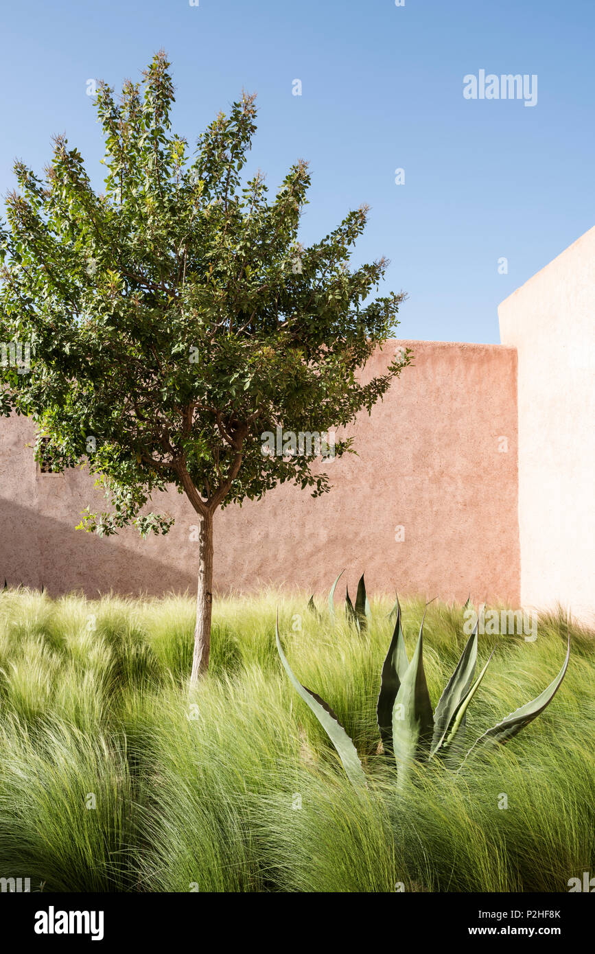 Die Außenfassade des Adobe Berber-stil Lodges mit Innenhof von Lemon Tree, Gräser und Kakteen Stockfoto
