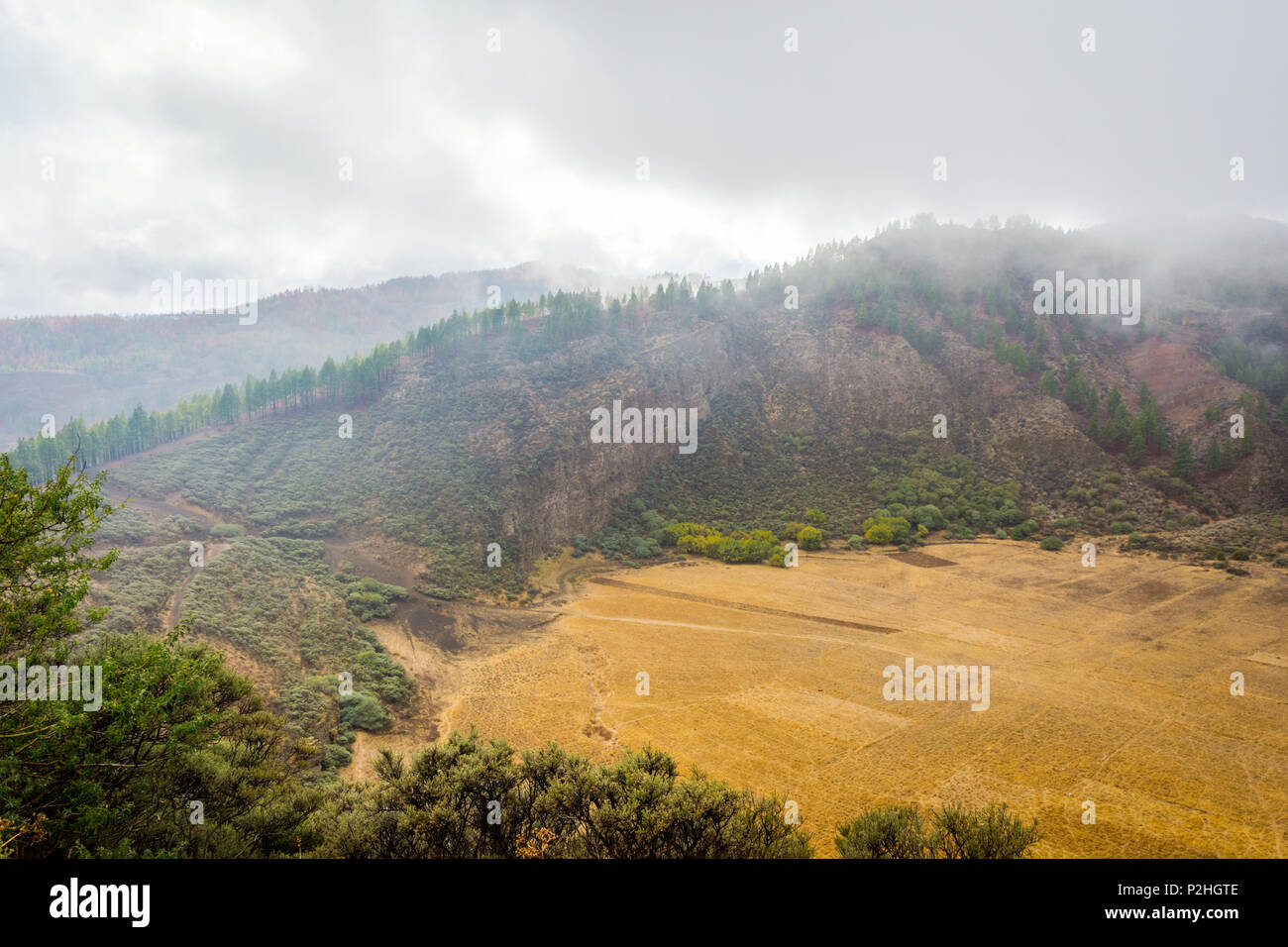 Blick über Bandama Krater Caldera, Gran Canaria, Spanien Stockfoto