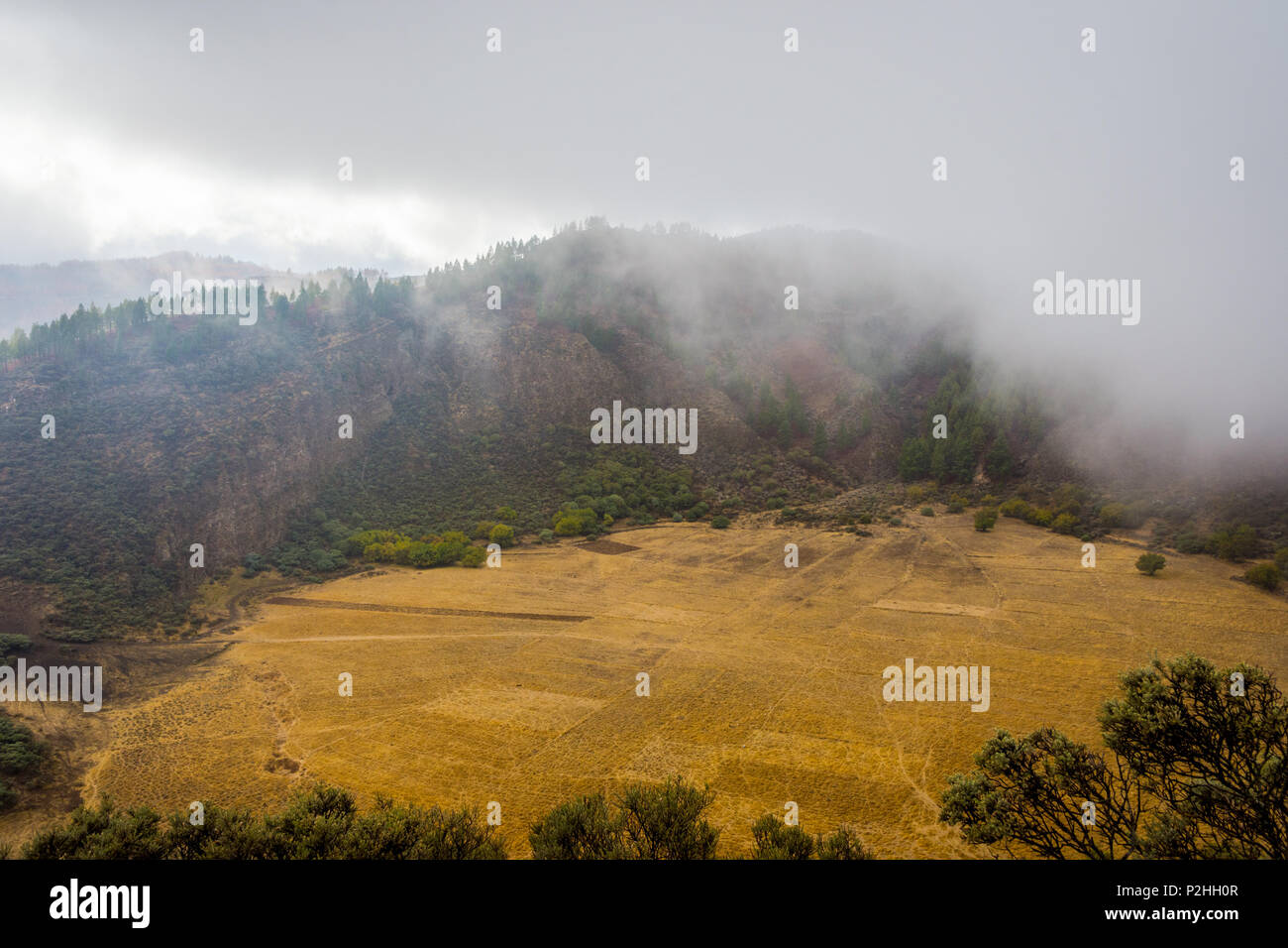 Blick über Bandama Krater Caldera, Gran Canaria, Spanien Stockfoto