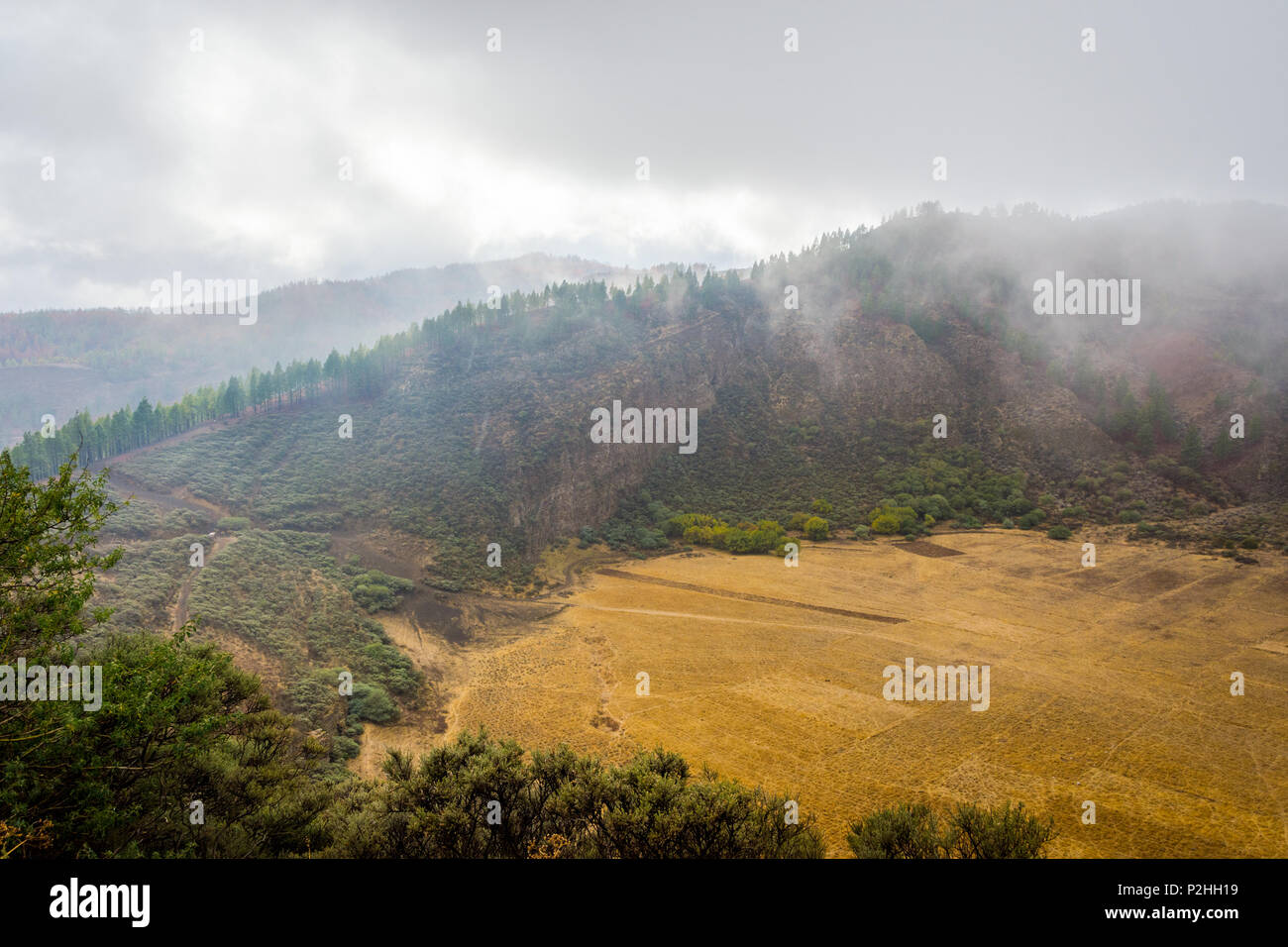 Blick über Bandama Krater Caldera, Gran Canaria, Spanien Stockfoto