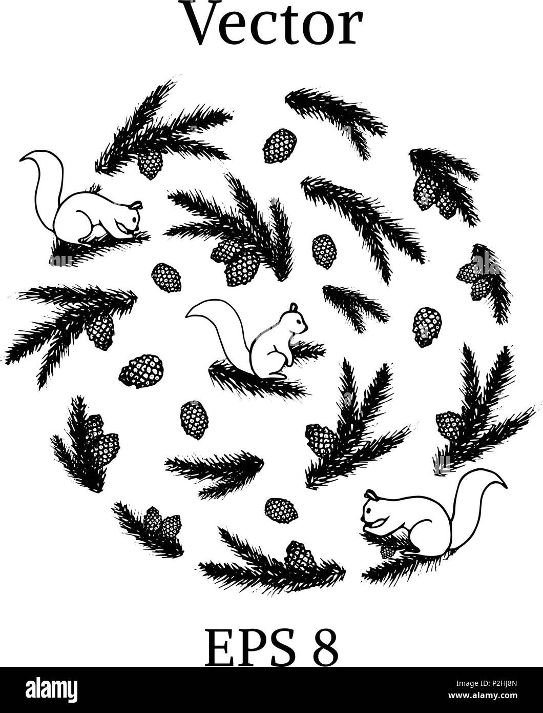 Vektor einrichten von Wald Elemente: Eichhörnchen, kiefer Zweige und Zapfen. Stock Vektor