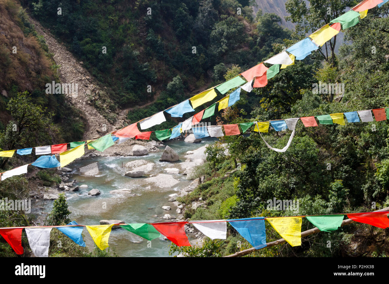 Gebetsfahnen und Langtang Khola River, in der Nähe von Bamboo Lodge, Langtang Tal, Nepal Stockfoto