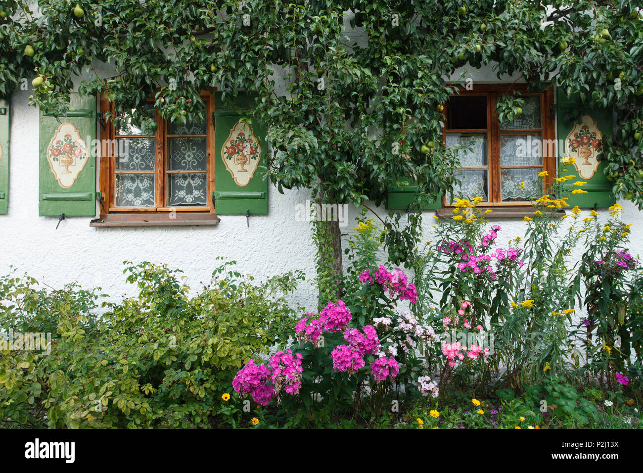 Windows von einem alten Bauernhaus mit Garten und Birnbaum, Seehausen am Staffelssee, in der Nähe von Murnau, Landkreis Garmisch-Partenkirchen, B Stockfoto