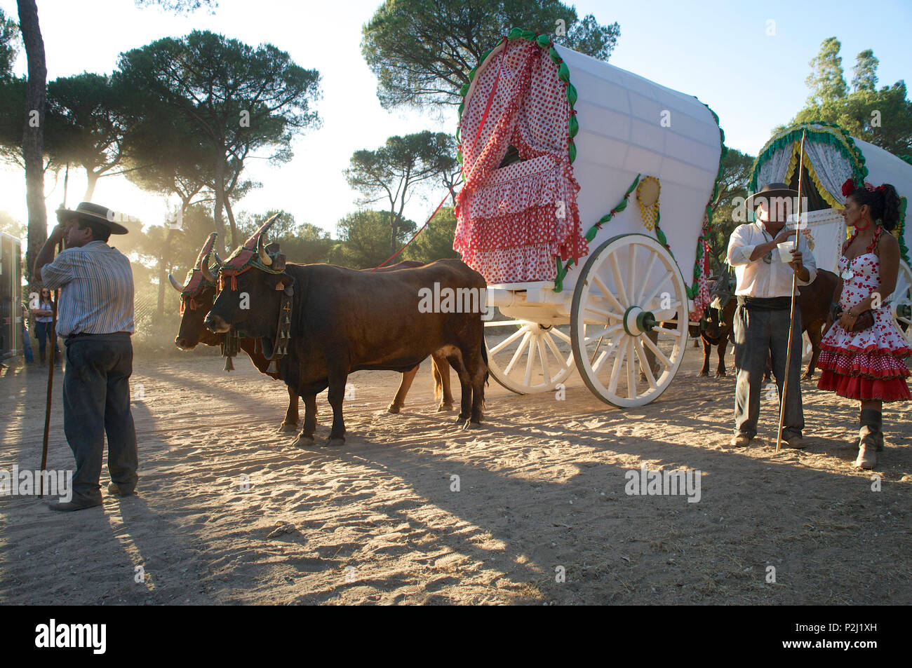 Pilger mit Ochsenkarren auf dem Weg zu El Rocio auf der Strecke La Raya Real von Sevilla, El Rocio, Huelva, Andalusien, Spanien Stockfoto