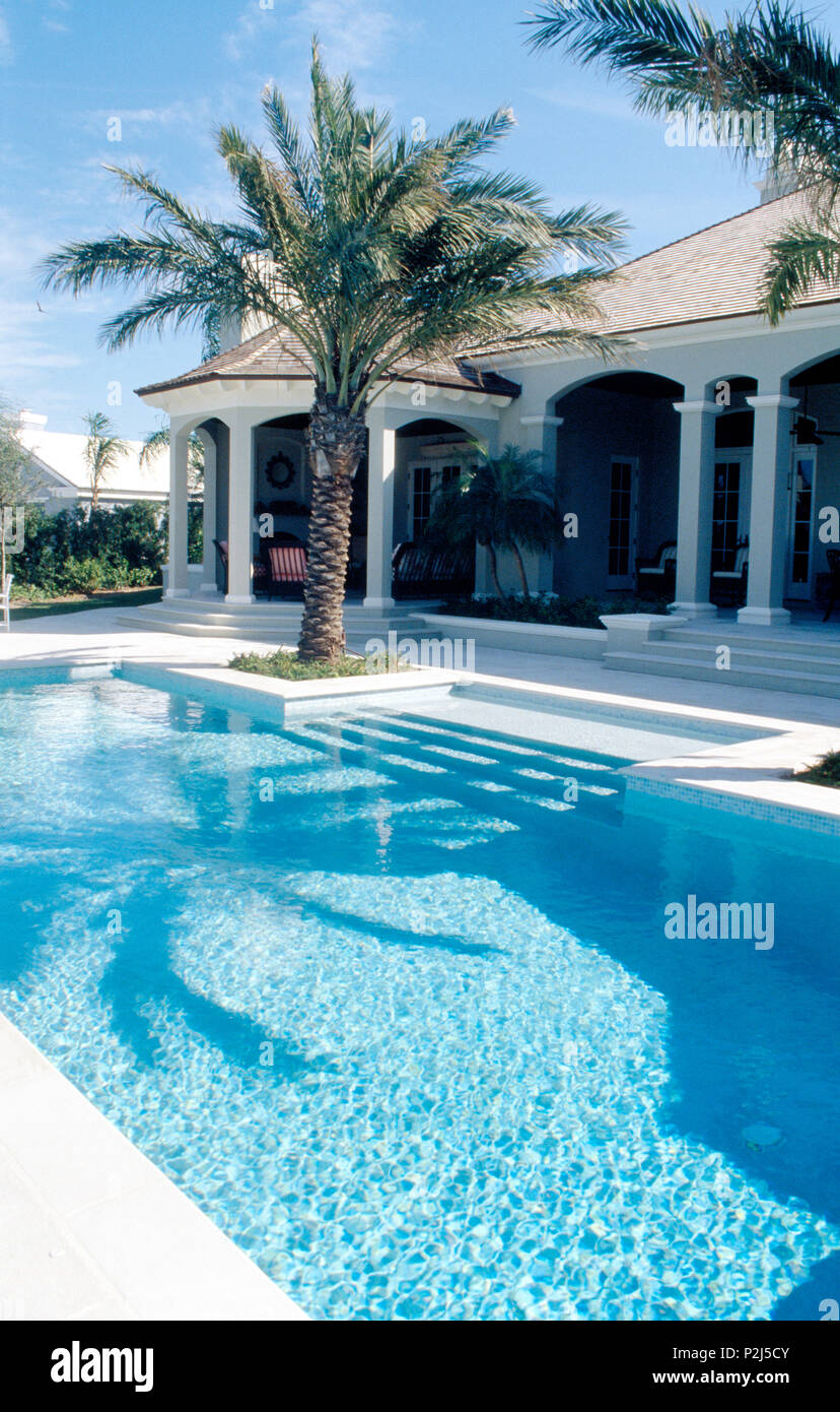 Palm Tree neben türkisfarbenen Pool der moderne Villa in Florida Stockfoto