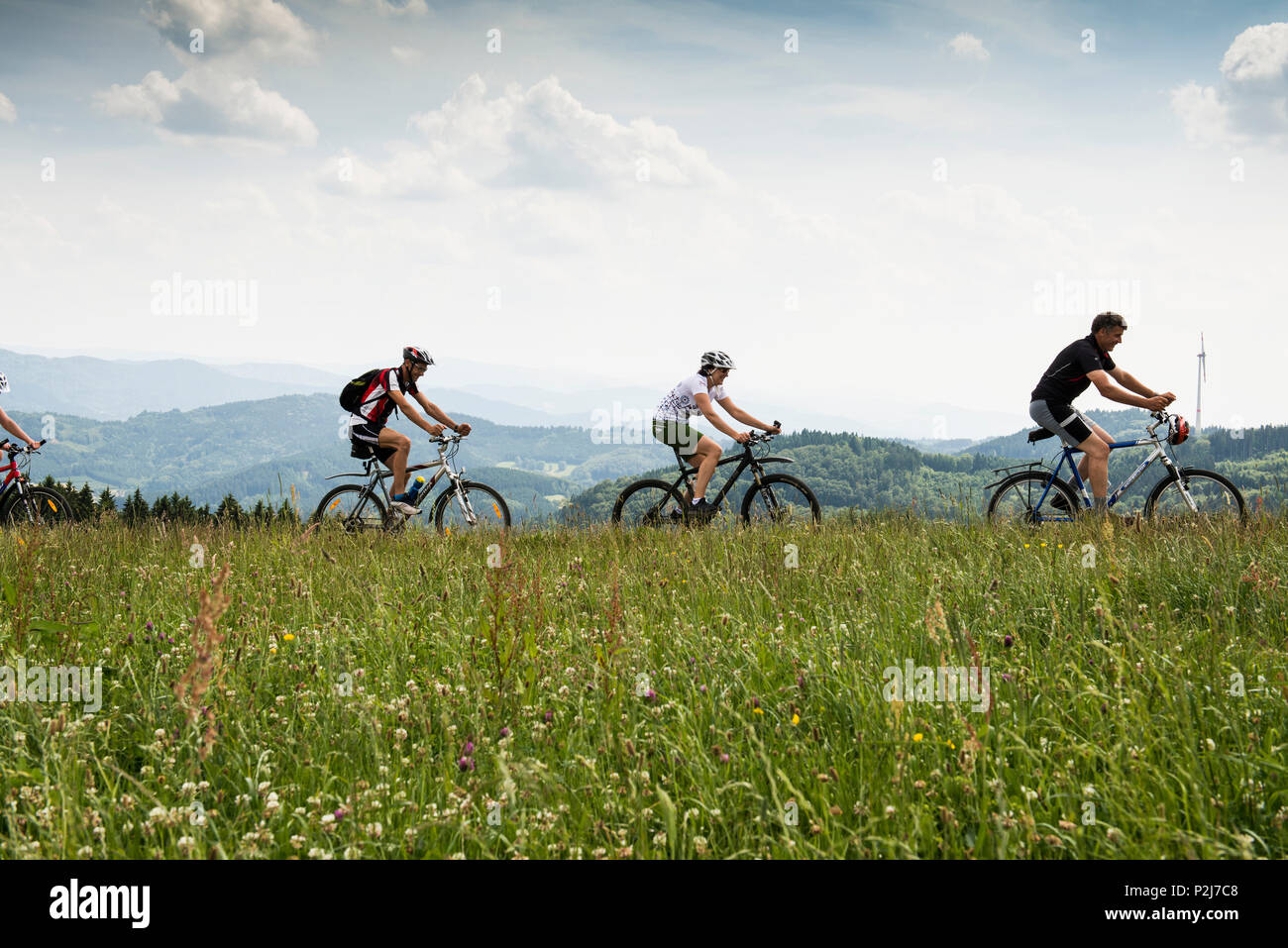 Mountainbiker in der Nähe von Rheinhausen, nördlich von Freiburg im Breisgau, Schwarzwald, Baden-Württemberg, Deutschland Stockfoto
