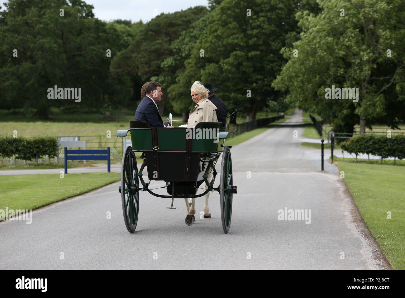 Die Herzogin von Cornwall Fahrten in einem jaunting Auto als Sie ankommt, für einen Besuch in Muckross House in Co Kerry, als Teil ihrer Tour der Republik Irland mit der Prinz von Wales. Stockfoto