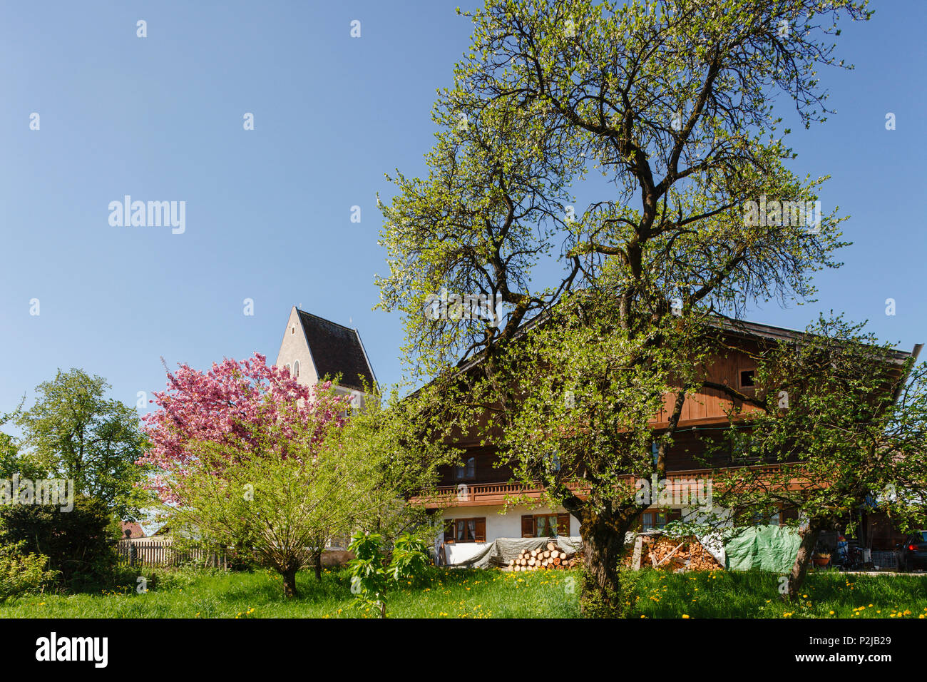 Bauernhaus In Der Nahe Von Grossdingharting Strasslach St