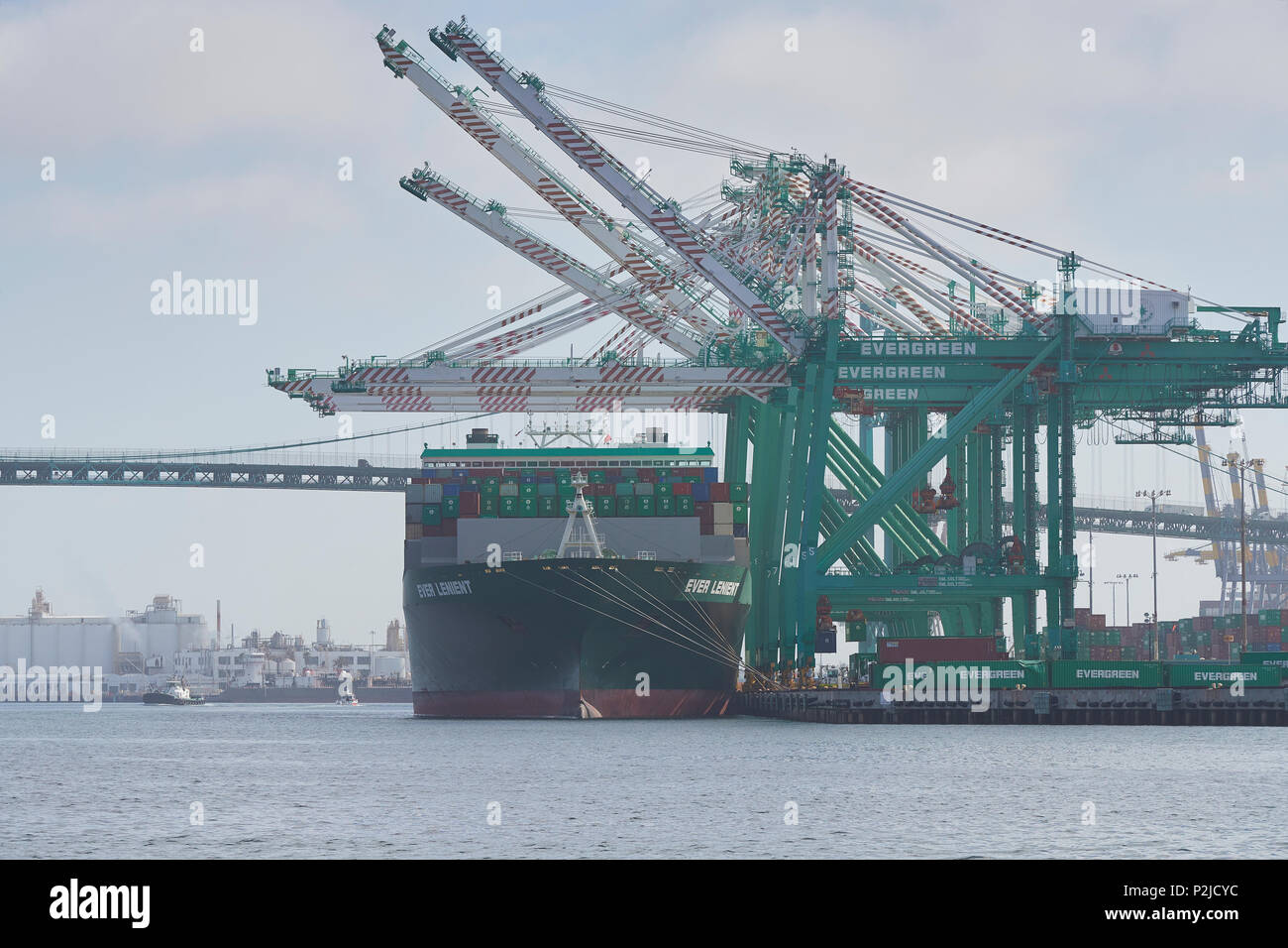 Evergreen New Panamax Containerschiff, IMMER NACHSICHTIG, lädt und entlädt im EVERPORT im Hafen von Los Angeles, Kalifornien, USA. Stockfoto
