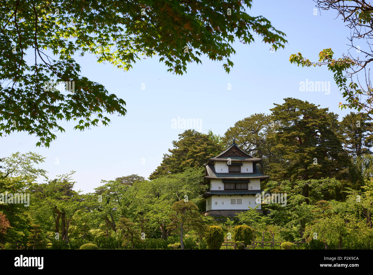 Hirosaki Schloss Wachtturm von grünen Blättern im Park mit demselben Namen umgeben. In Hirosaki, Präfektur Aomori, Japan. Stockfoto