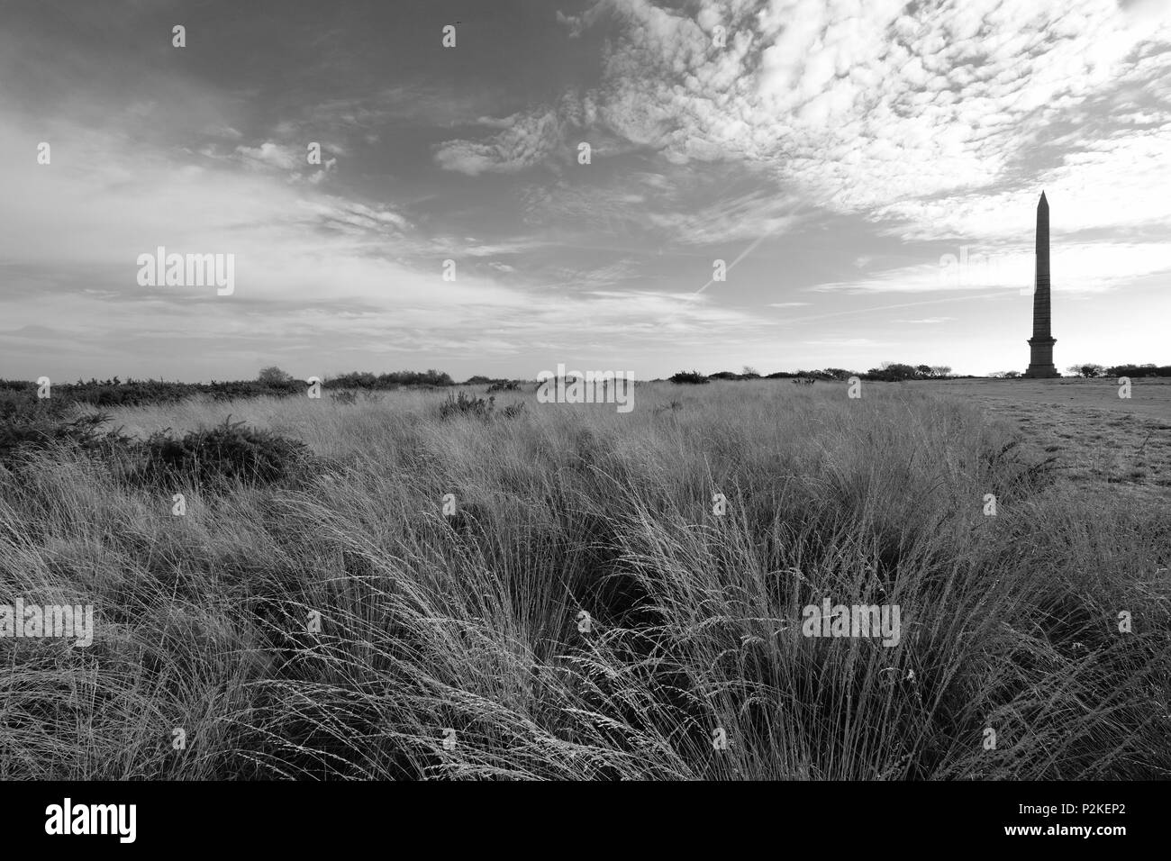 Bodmin Beacon Walter Raleigh Gilbert Stockfoto