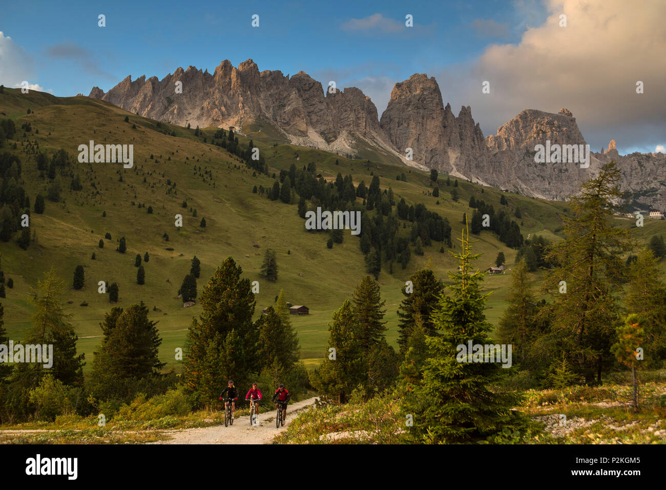 Mountain Biker in der Sella, Pizes de Cir im Hintergrund, Trentino, Südtirol, Italien Stockfoto