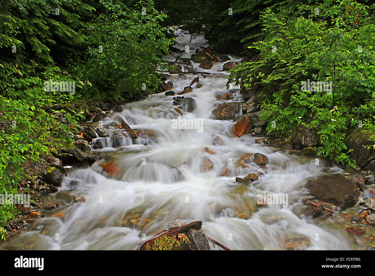 Crazy Creek, Britisch-Kolumbien, Kanadischen Rocky Mountains Stockfoto