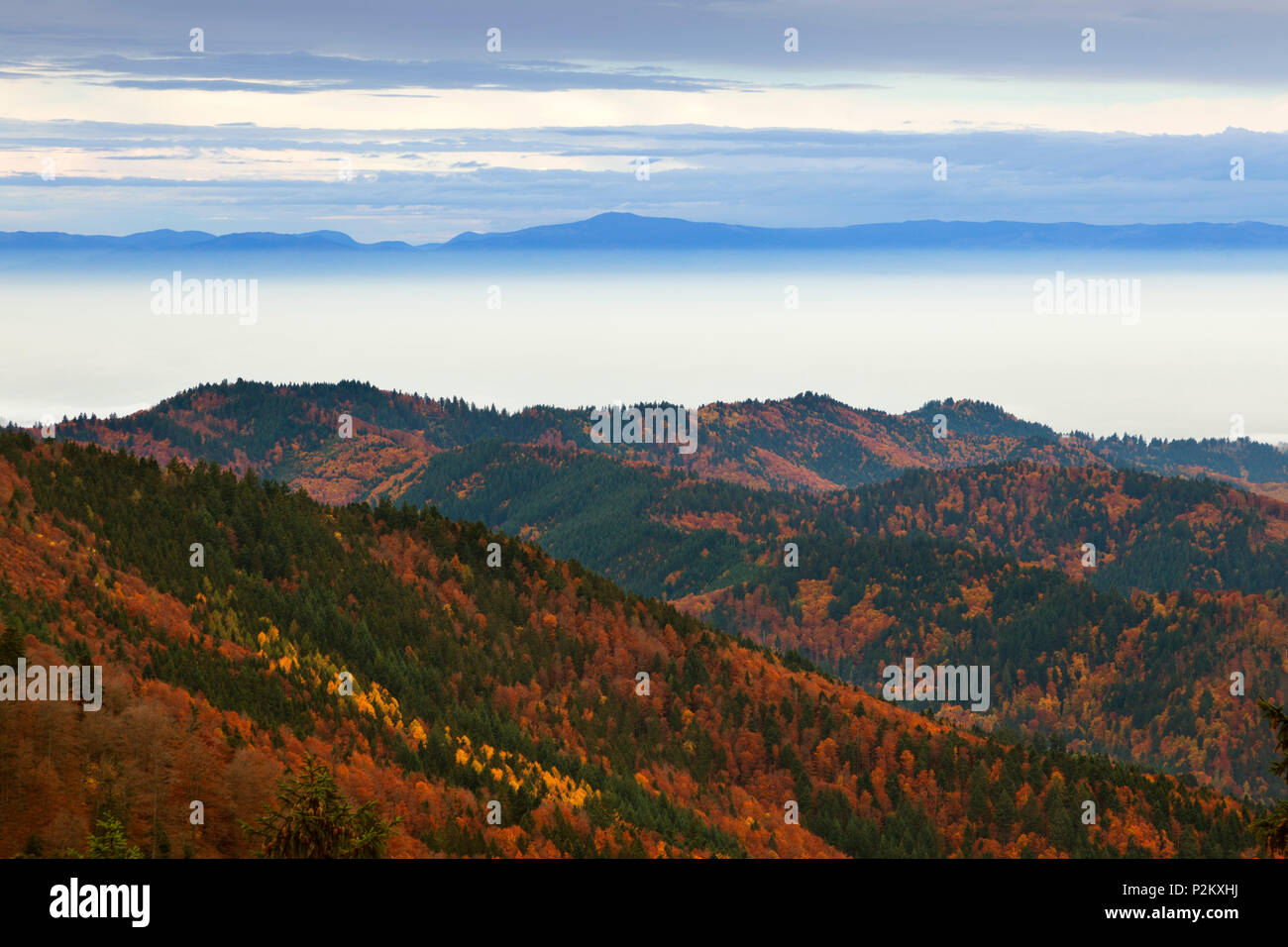 Nebel über dem Rheintal, Blick vom Belchen über das Rheintal zu den Vogesen, Schwarzwald, Baden-Württemberg, Deutschland Stockfoto