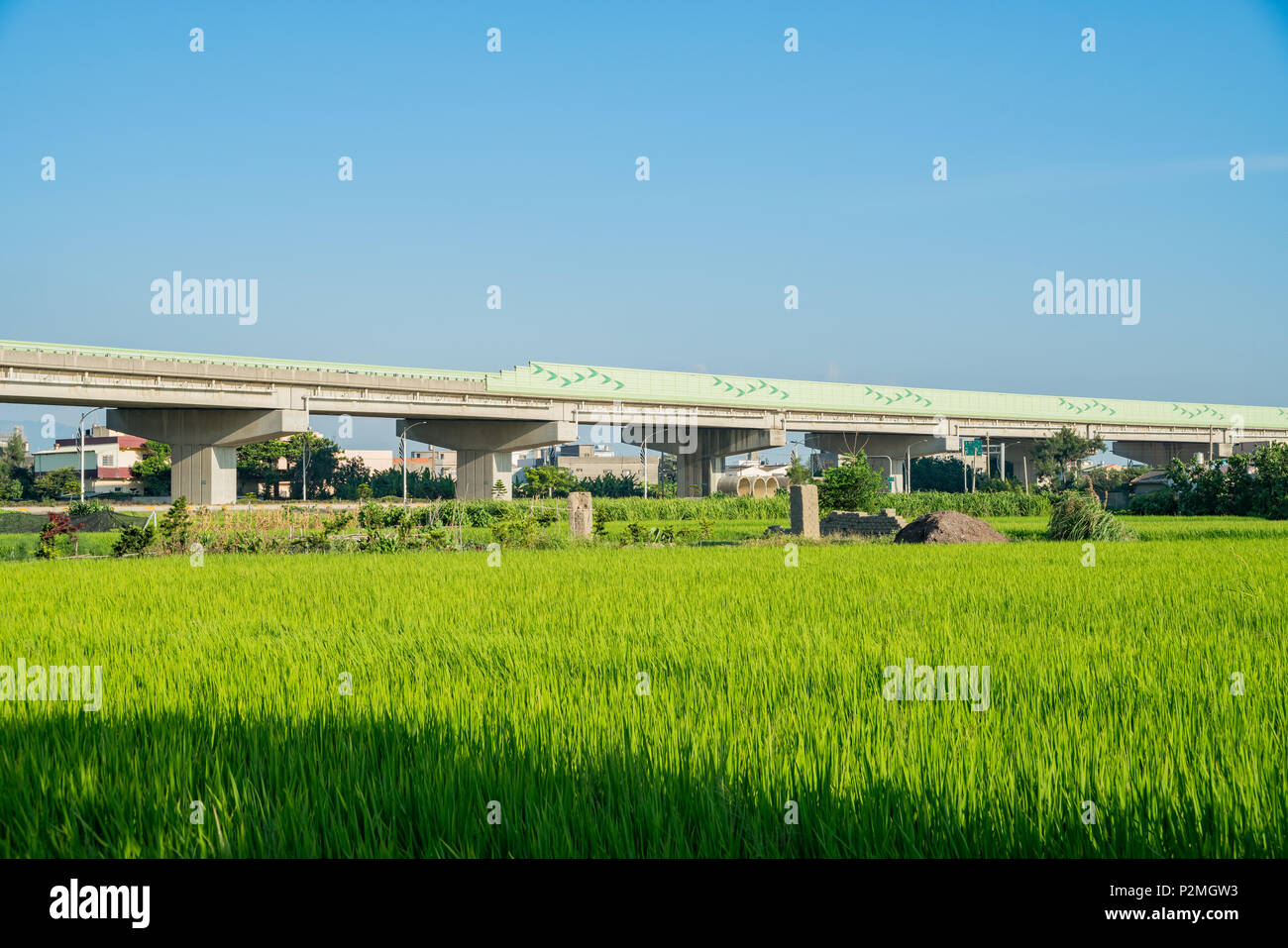 Autobahn mit Reisfeld um Sonnenuntergang bei yuanli County, Taiwan Stockfoto