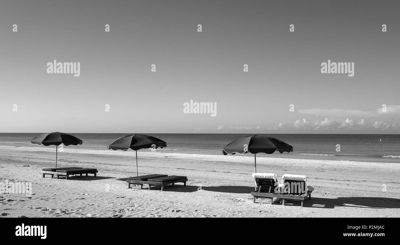 Redington Beach. Florida, USA, Strand mit Liegestühlen und Sonnenschirm Farbtöne, auf Redington Shores Beach, Golf von Mexiko, Dienstag, 04.10.2016, © Peter SPU Stockfoto