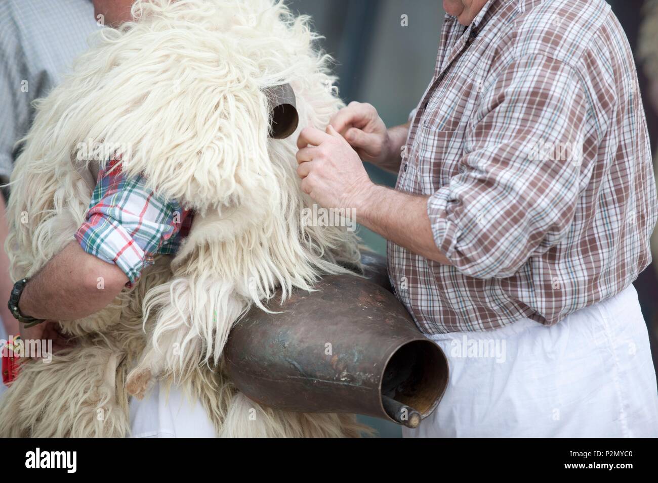 Frankreich, Pyrenees Atlantiques, aalen Sie sich Land, Bayonne, der Verein Orai Bat die Tradition der joaldunak (derjenige, der die Kuhglocken trägt) Es ist eine ländliche Tradition, deren Ursprung nicht bekannt ist, aber deren Bedeutung ist das Erwachen der Natur durch die Ankündigung der Ankunft des Karnevals zu zwingen, weiter Stockfoto