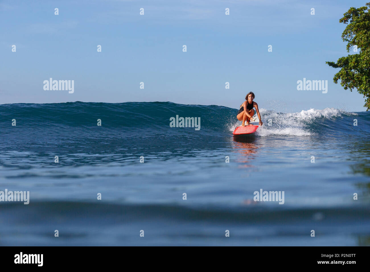 Junge sportliche Frau Surfen im Ozean Stockfoto