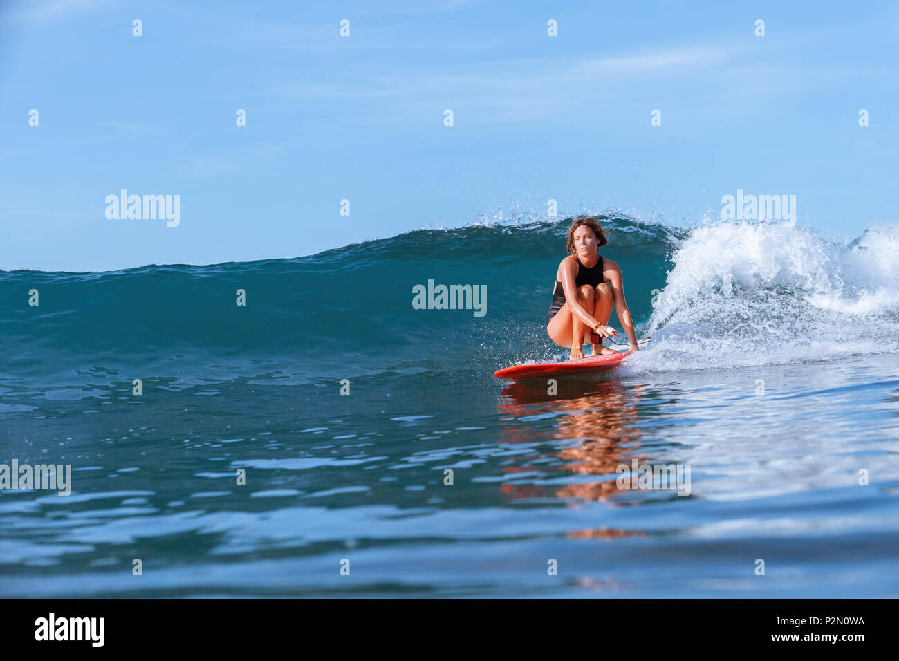 Schöne junge Mädchen surfen im Ozean Stockfoto