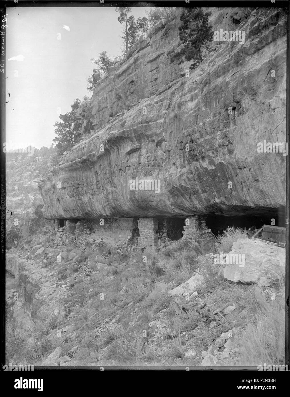 (Alte Nr. 128) Cliff dwellings unter Aubrey Kalkstein, Nussbaum Schluchten Coconino County, Arizona. (Einige kamera Ausrüstung... - Stockfoto