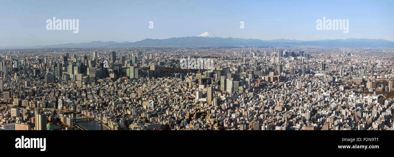 Weitwinkel Skyline von Downtown Tokyo mit Mt. Fuji an frühen Morgen, Sumida-ku, Tokyo, Japan Stockfoto