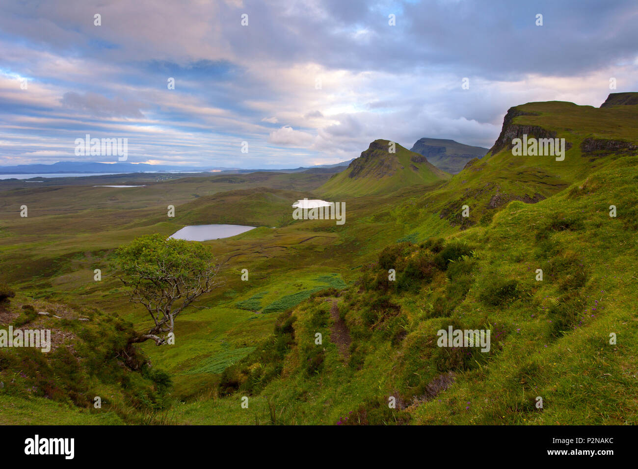 Sonnenuntergang, Baum, Aussicht, Ilse von Skye, Quiraing, Highlands, Schottland Stockfoto