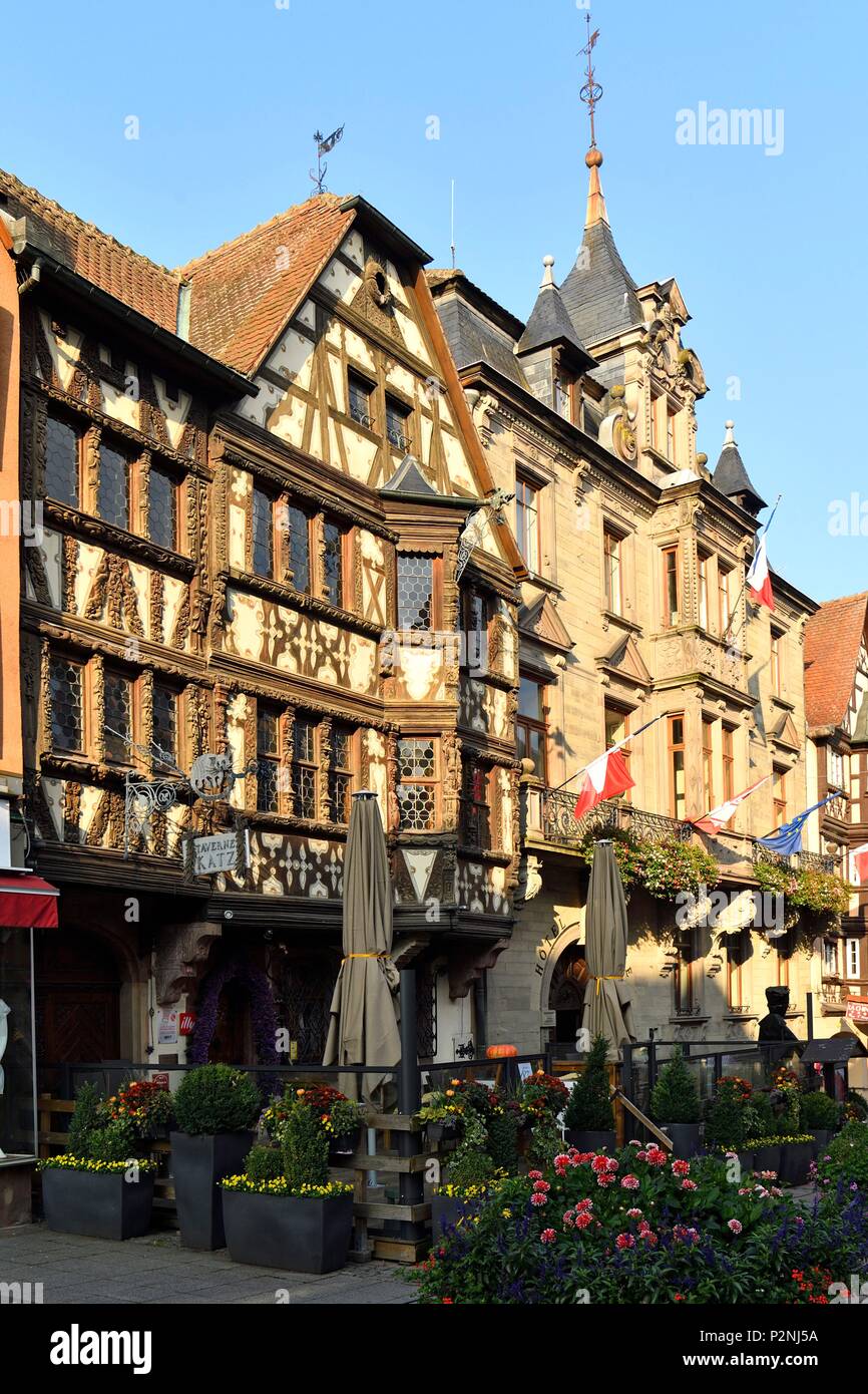 Frankreich saverne katz Fotos und Bildmaterial in hoher Auflösung Alamy