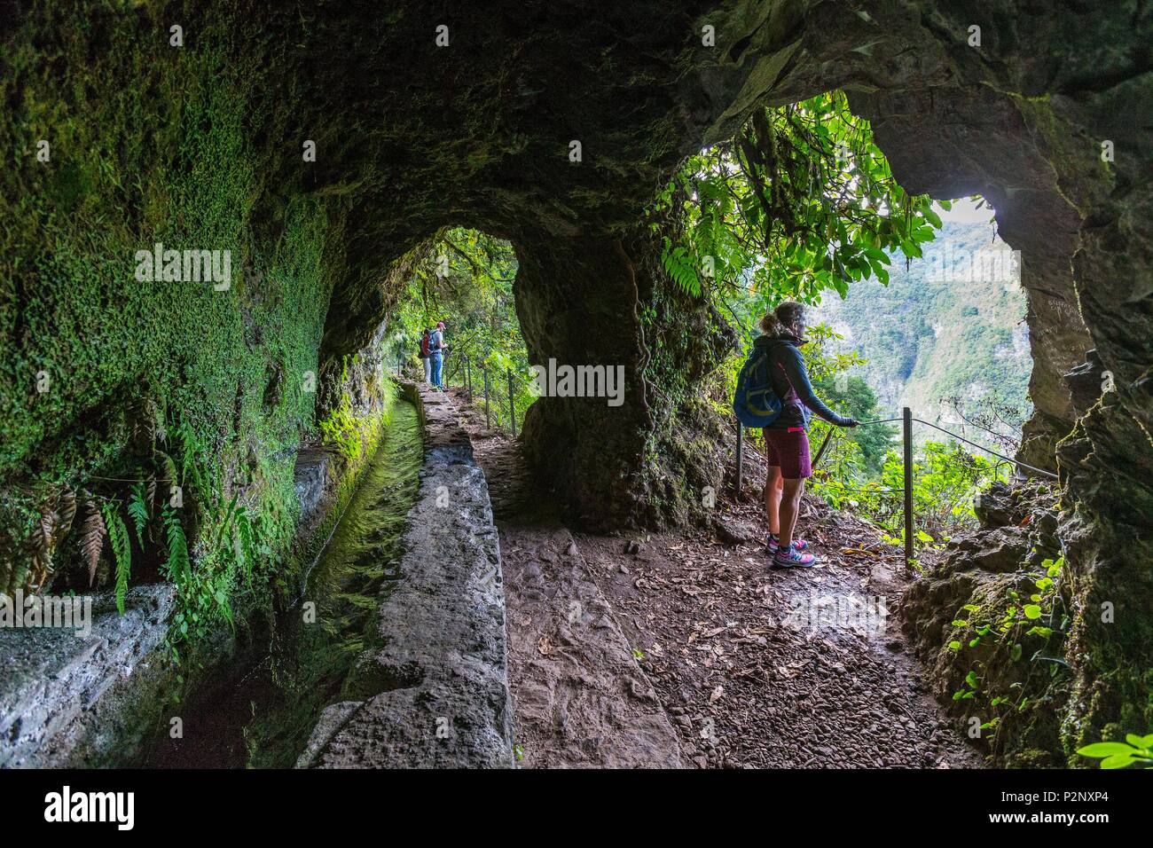 Portugal, Madeira, wandern zu den Caldeirao Verde und Caldeirao do Inferno im Herzen der Laurissilva Wald oder lorbeerwald als Weltkulturerbe von der UNESCO klassifiziert, Entlang der Levada do Caldeirao Verde Stockfoto