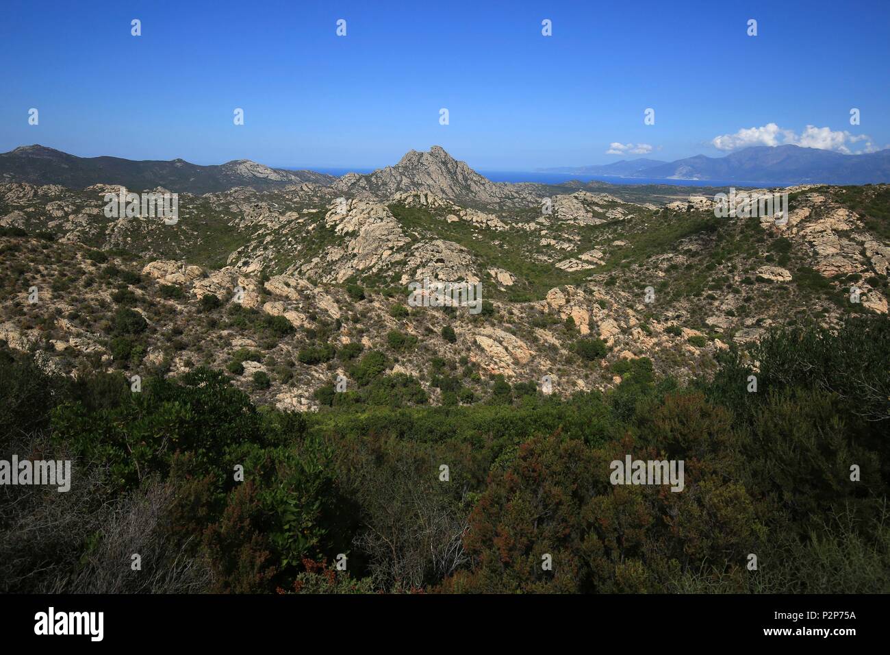 Frankreich, Haute Corse, Agriates Wüste Stockfoto