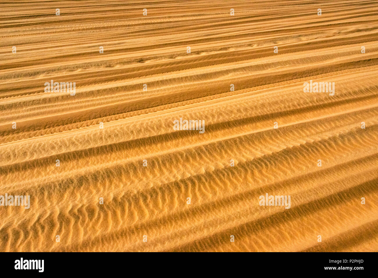 Roter Sand im südlichen Namibwüste, Sossusvlei, Namib-Naukluft-Nationalpark, Otjozondjupa Region, Namibia Stockfoto
