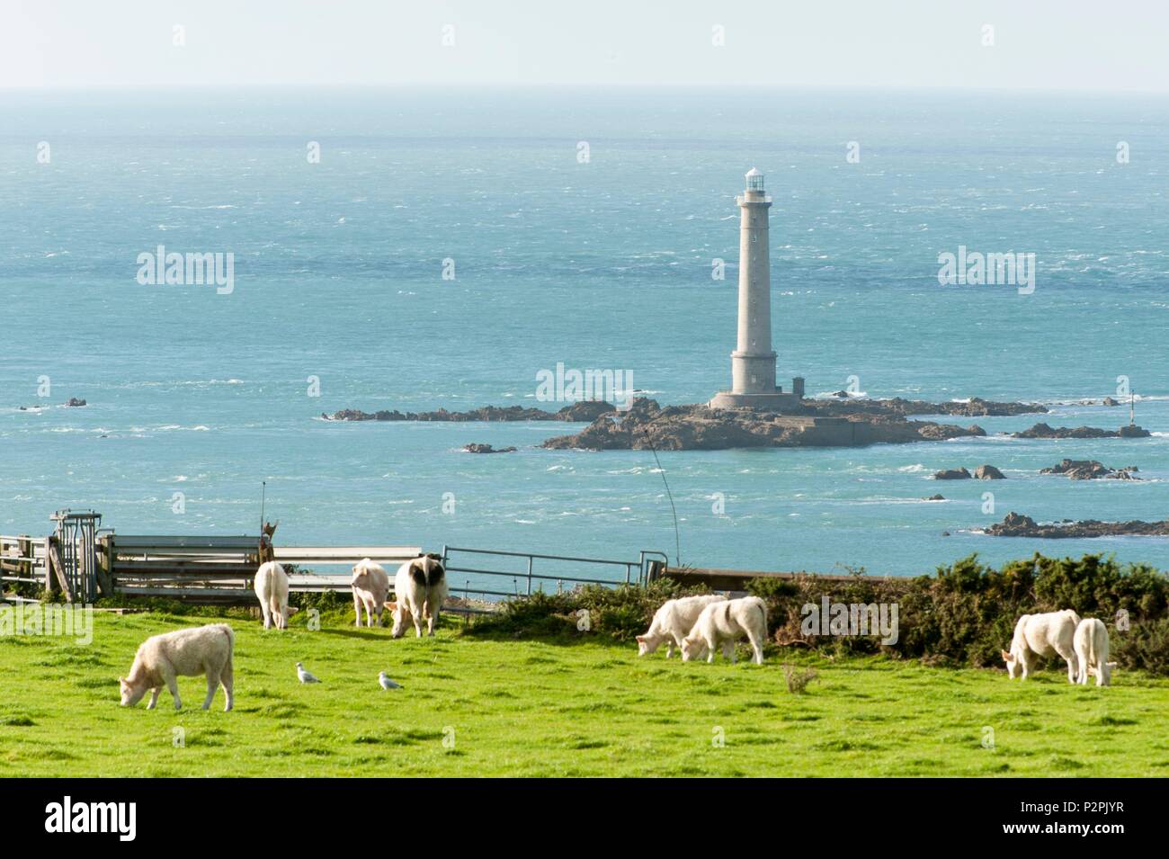 Frankreich, Manche, Cotentin, Cap de la Hague, Goury, La Hague Leuchtturm Stockfoto