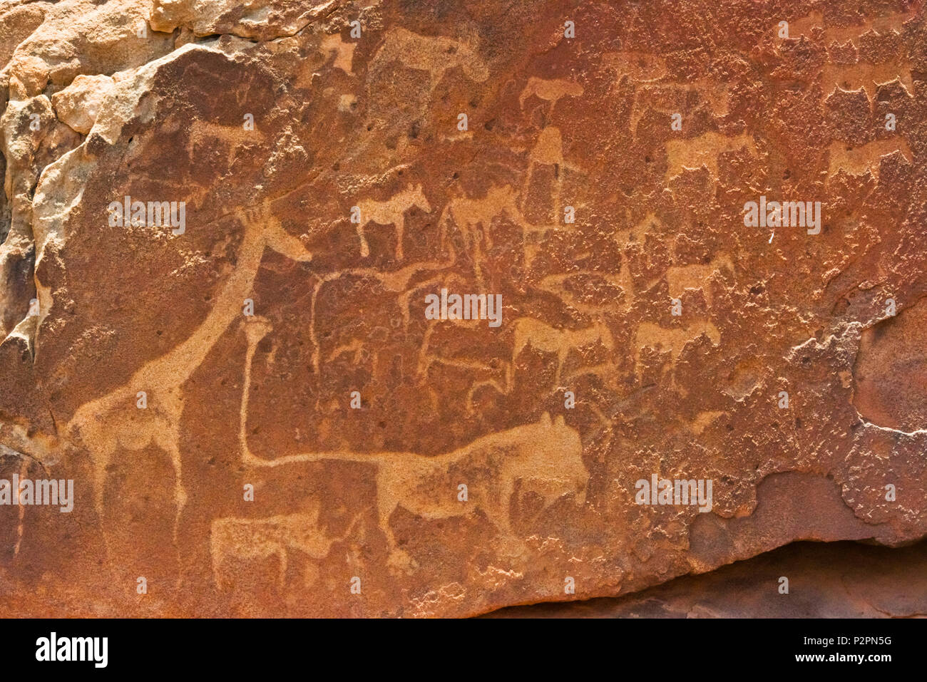 Bushman gravuren von Twyfelfontein, UNESCO-Weltkulturerbe, Damaraland, Kuene Region, Namibia Stockfoto