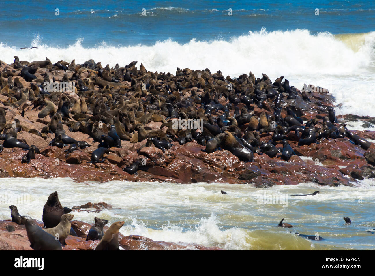 Robbenkolonie am Cape Cross auf Skelett Küste von South Atlantic Ocean, Erongo Region, Namibia Stockfoto