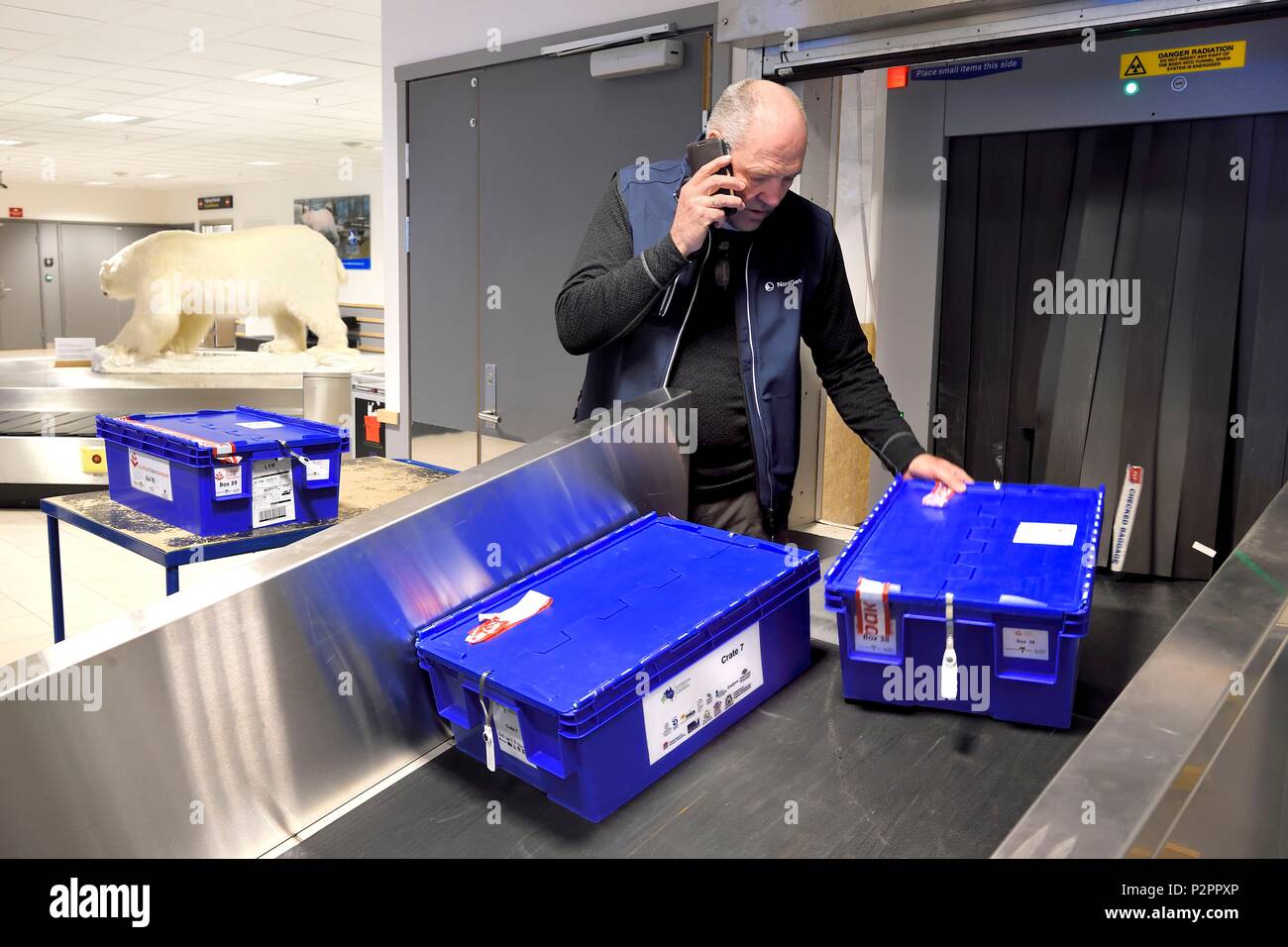 Norwegen, Svalbard, Spitzbergen, Longyearbyen, Svalbard Global Seed Vault (Seed Bank), Ankunft und Scannen von Samen am Flughafen Gepäckausgabebereich durch NordGen, ein Eisbär im Hintergrund ausgeführt Stockfoto