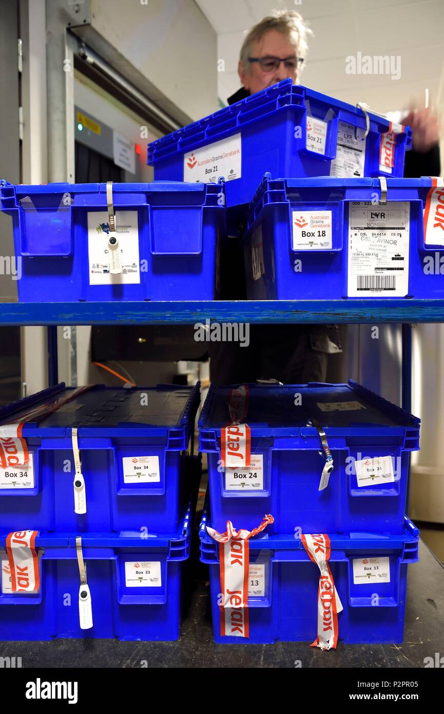 Norwegen, Svalbard, Spitzbergen, Longyearbyen, Svalbard Global Seed Vault (Seed Bank), versiegelte Kartons mit Samen von der Australischen Körner Genebank Stockfoto