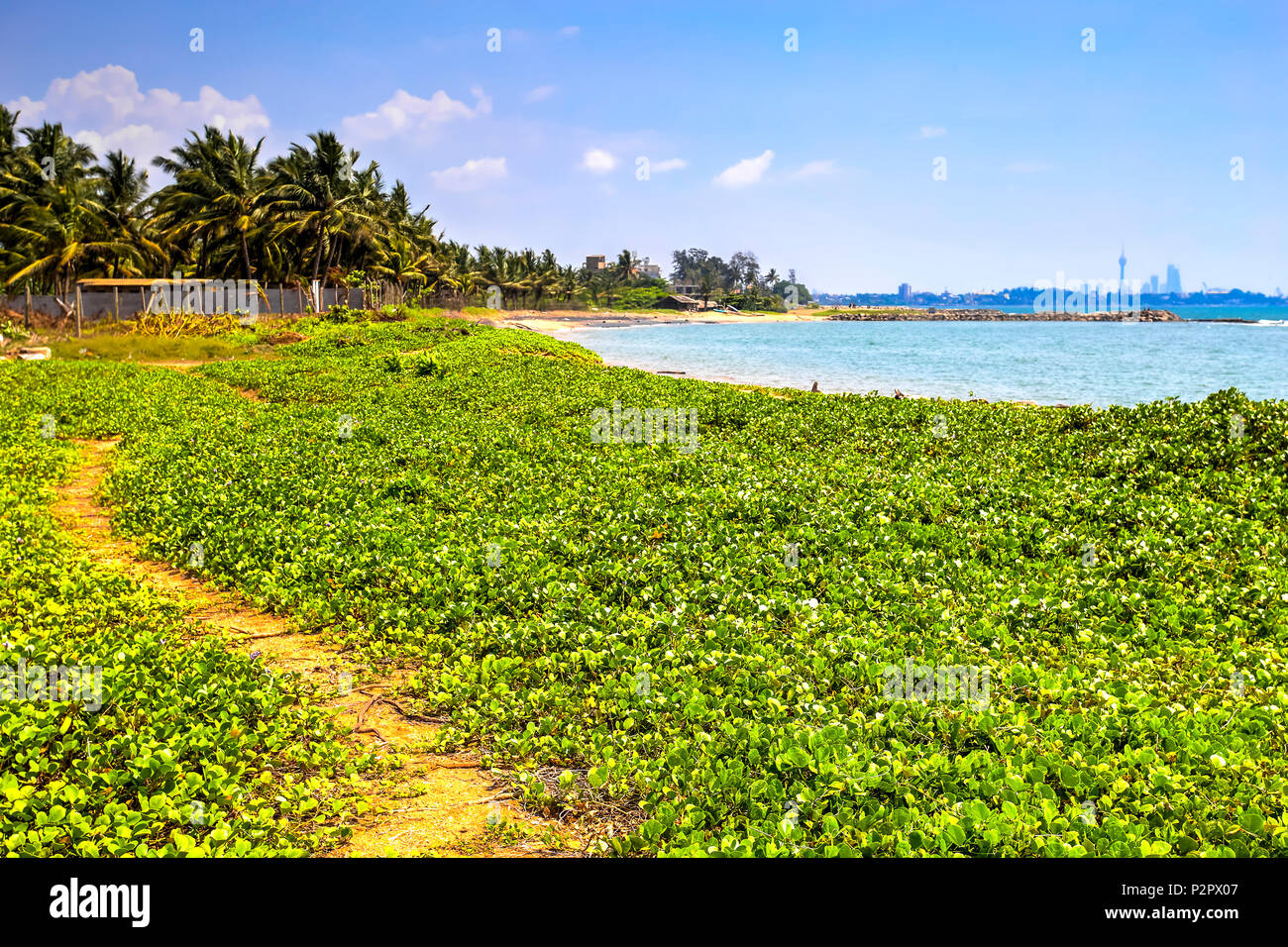 In Wattala palliyawatta Strand mit kristallklarem Wasser und goldenem Sand. Im Hintergrund die Wolkenkratzer der Stadt Colombo, Sri Lanka. Stockfoto
