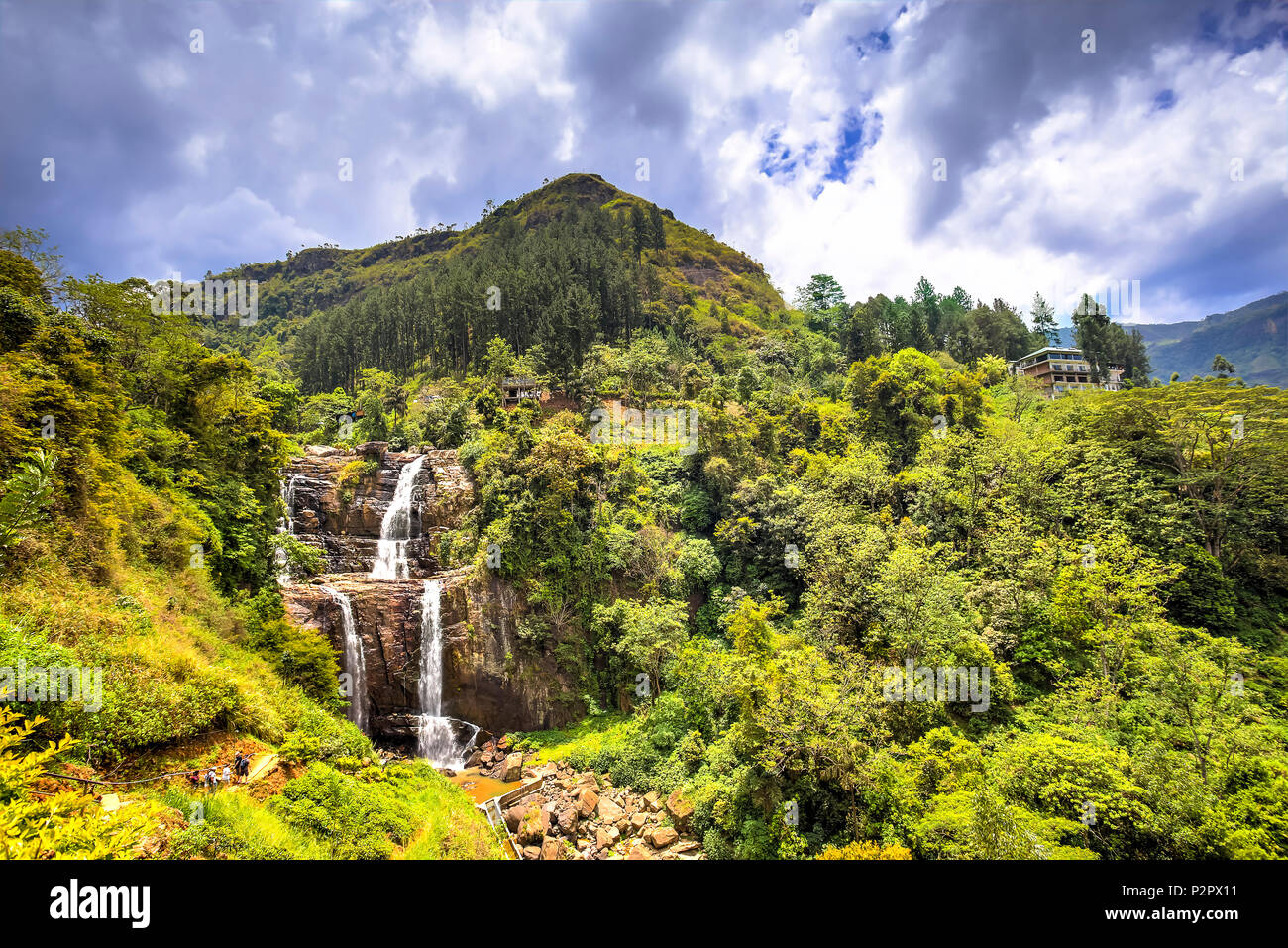 Blick auf ein Dschungel, Wasserfall, genannt Ramboda, zwischen Teeplantagen in Sri Lanka. Stockfoto