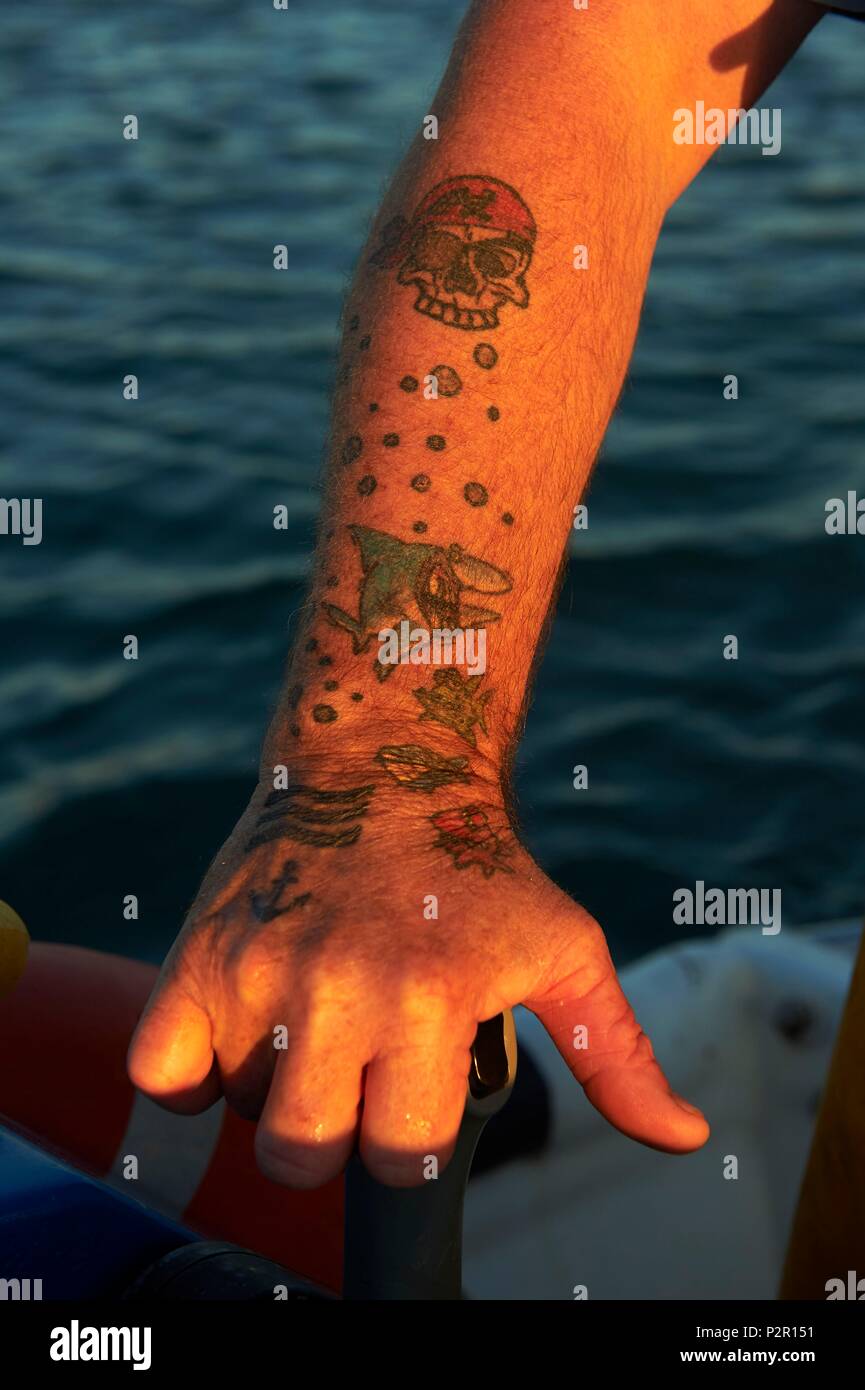 Frankreich, Aude, Leucate, die handwerkliche Fischerei, Christophe Guinot Firma, Fischer, Austernzüchter und Restaurator, Muscheln, Fischen, Murex Stockfoto