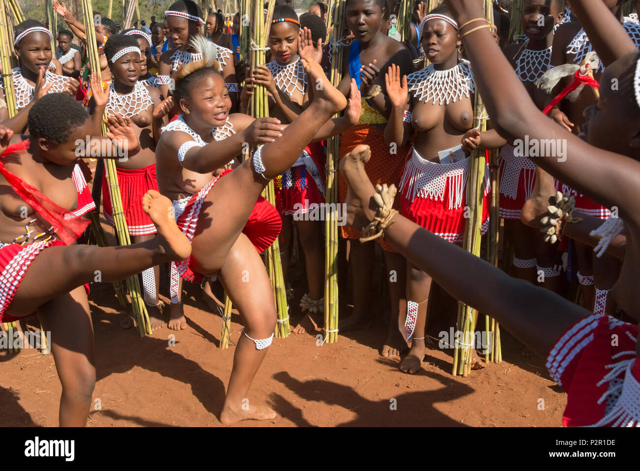 Swazi Mädchen mit Schilf Parade in Umhlanga (Reed Dance Festival), Swasiland Stockfoto