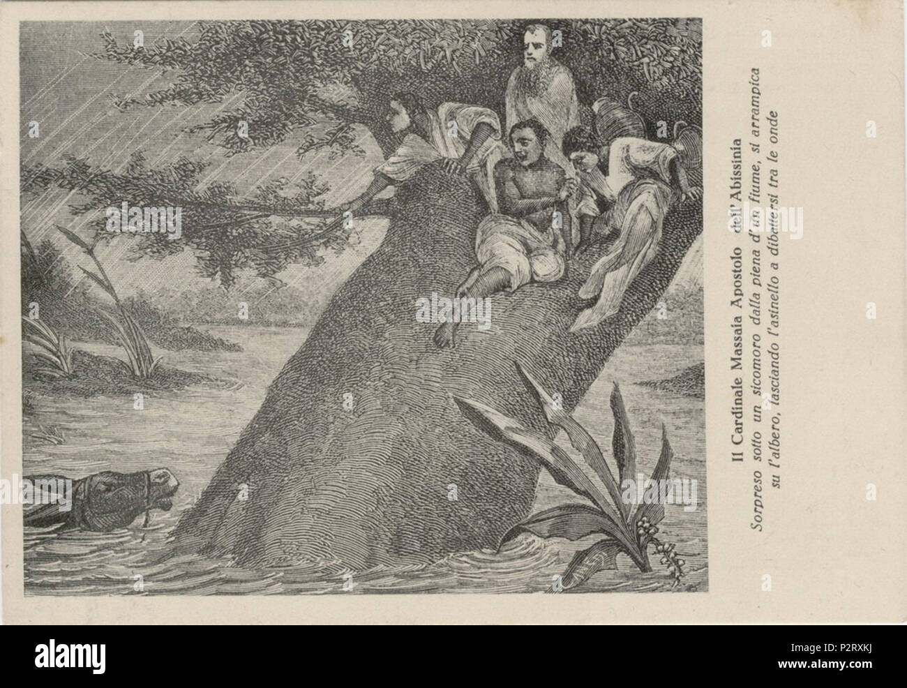 Guglielmo massaia Fotos und Bildmaterial in hoher Auflösung Alamy