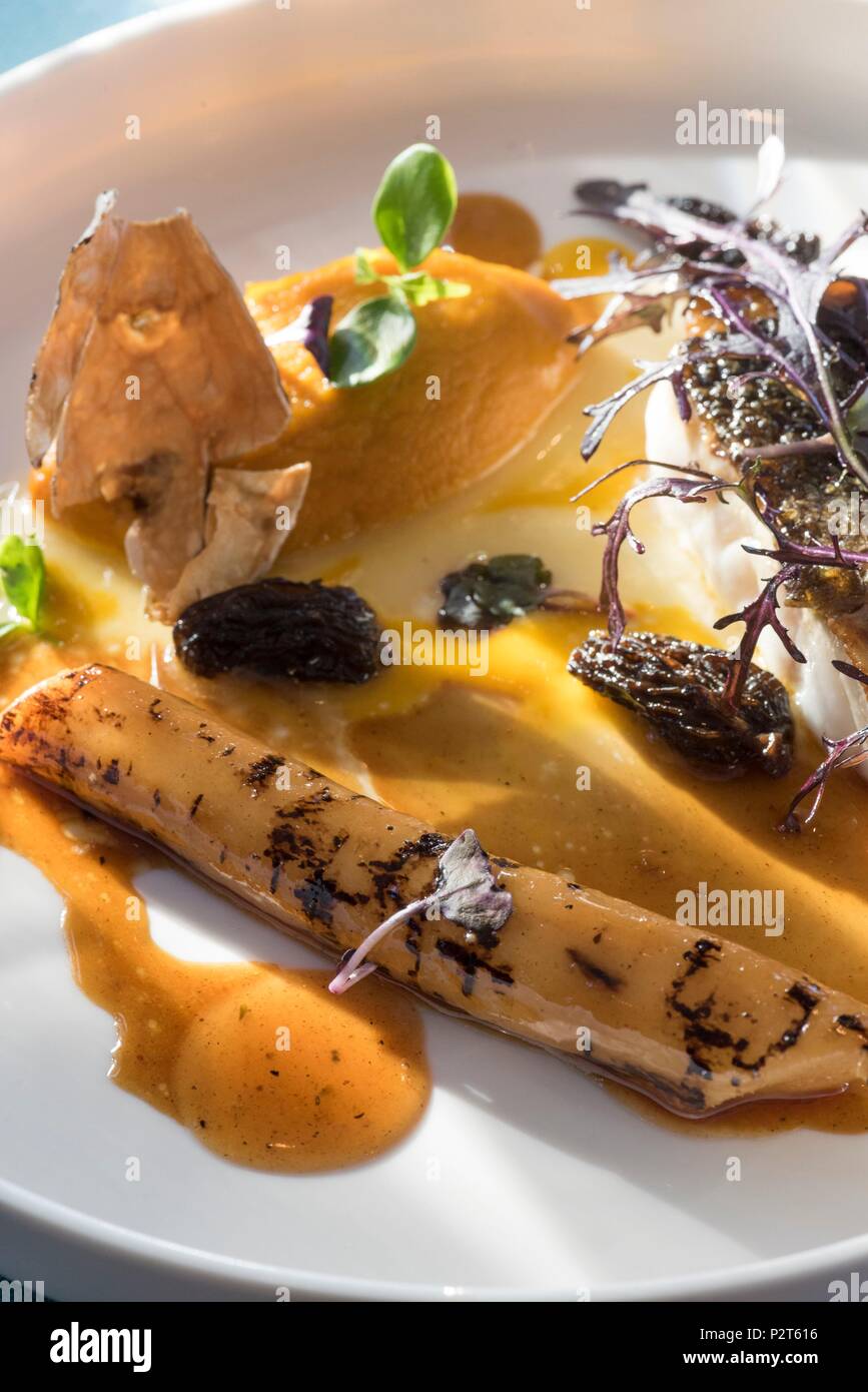 Frankreich, Bouches-du-Rhone, Marseille, La Corniche, Peron Restaurant, gegrillten Wolfsbarsch gehäutet, die mit einem salsifi verglast, kleine Morcheln, Topinambur Chips kommt Stockfoto
